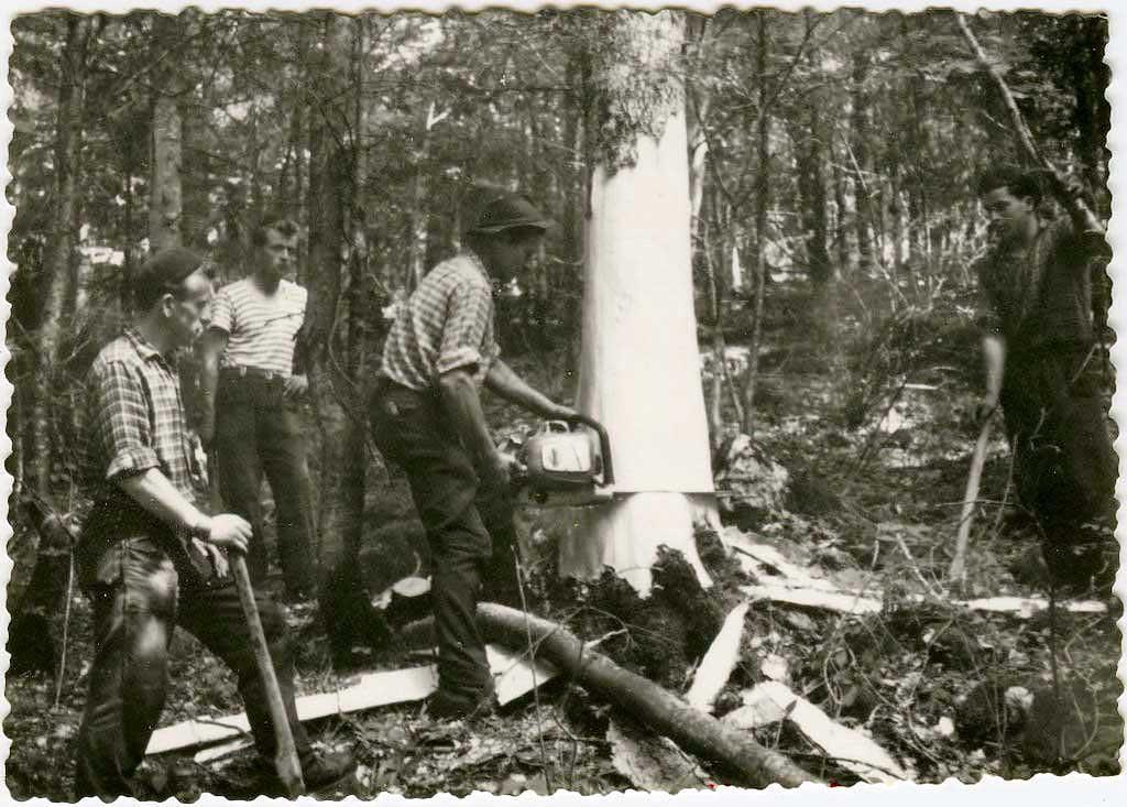 An old photograph related to the history of logging in the area